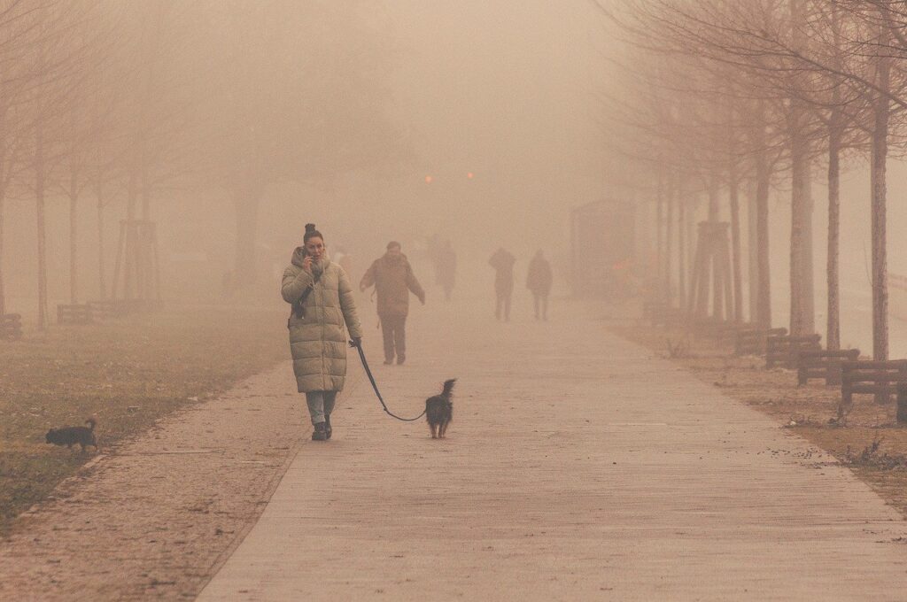 fog, road, people